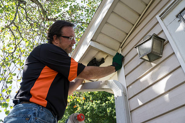 Best Stone Veneer Siding  in St James, MD